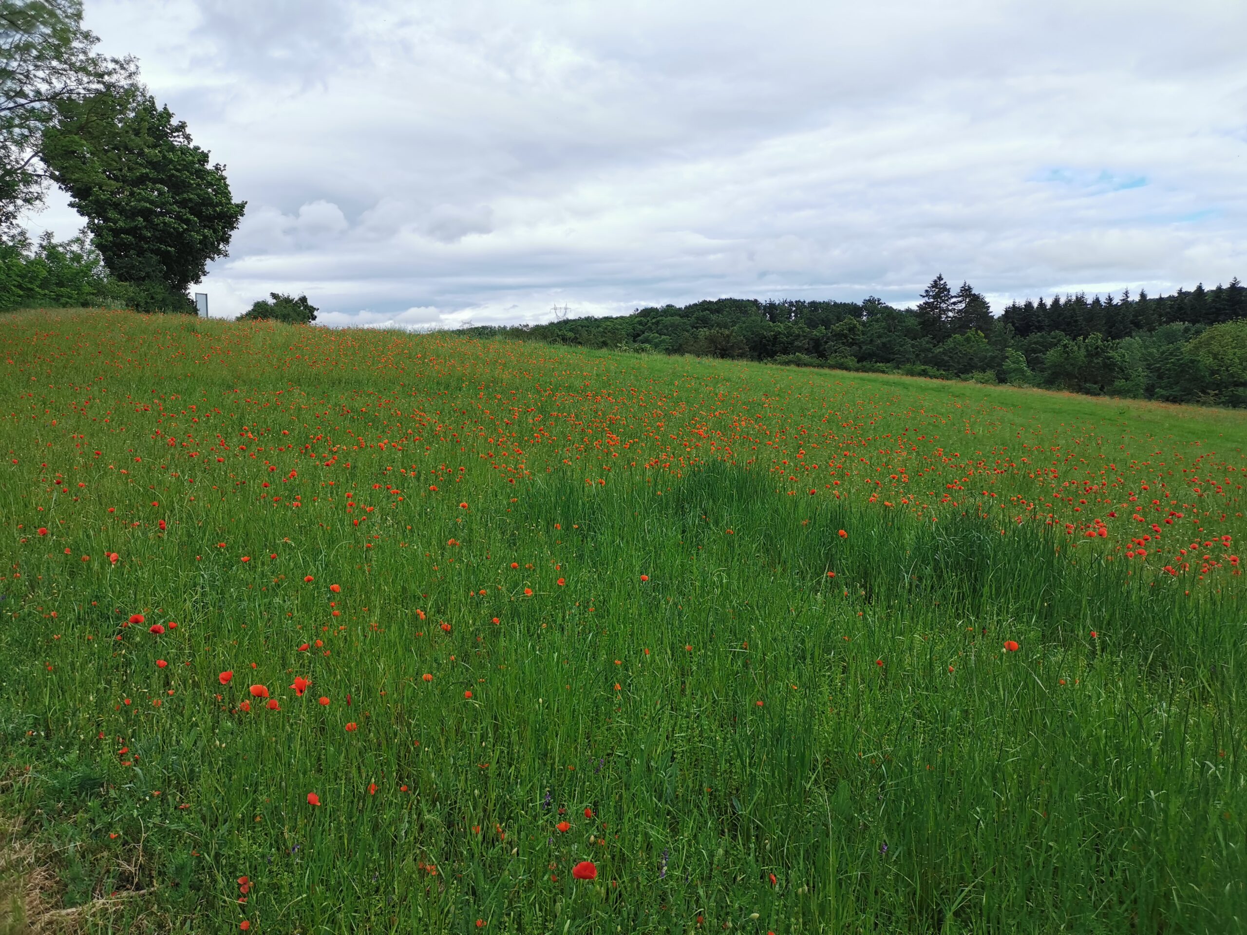 Environnement & Agriculture